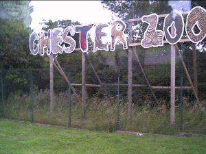 Chester Zoo Sign Upton